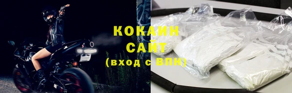 бошки Гусев