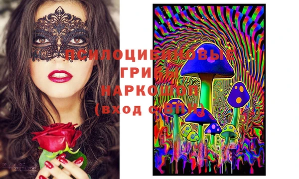 молекула духа Гусь-Хрустальный