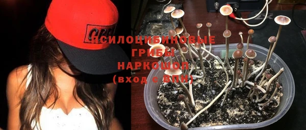 мяу мяу мука Гусиноозёрск