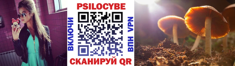 Купить где Верхняя Тура Галлюциногенные грибы MAGIC MUSHROOMS